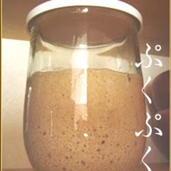 A picture of Fizzy Bread Starter using Natural Leaven.