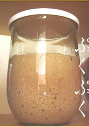 A picture of Fizzy Bread Starter using Natural Leaven.
