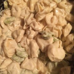 A picture of Garlic Alfredo Tortellini.