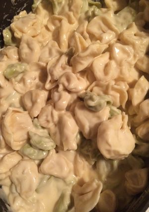 A picture of Garlic Alfredo Tortellini.