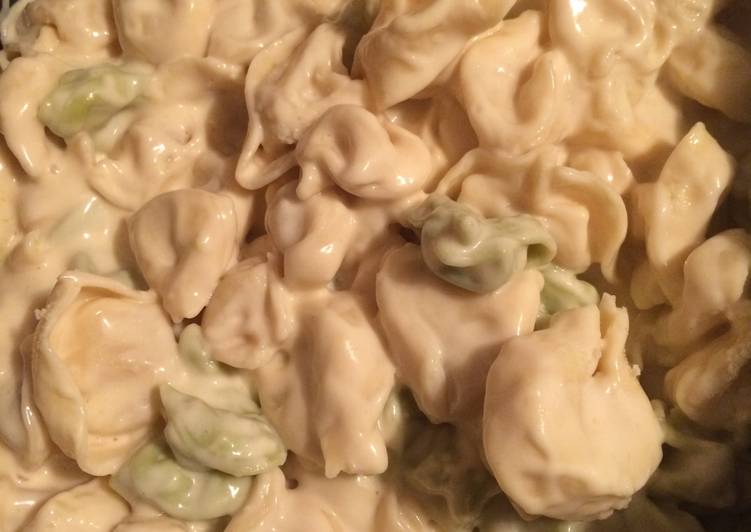 Garlic Alfredo Tortellini