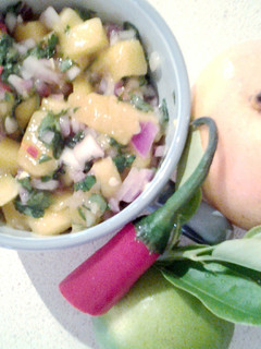 A picture of Mango salsa.