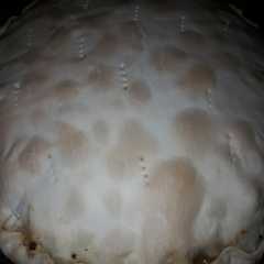Una foto de Tarta de pollo