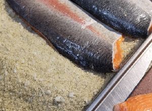 Una foto de Gravlax de truchas