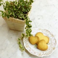A picture of Super Easy 30-Minute Cookies.
