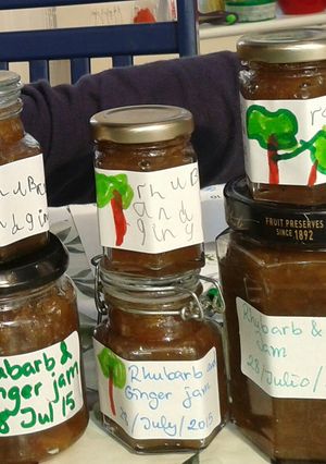 A picture of Rhubarb and ginger jam.
