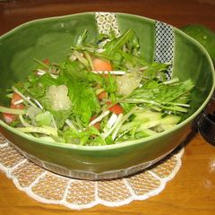 A picture of Mizuna Salad with Kabosu Citrus Balsamic Dressing.