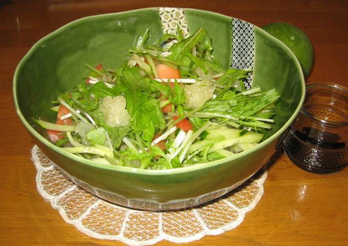 Mizuna Salad with Kabosu Citrus Balsamic Dressing