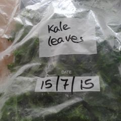 A picture of Kale-freezing.