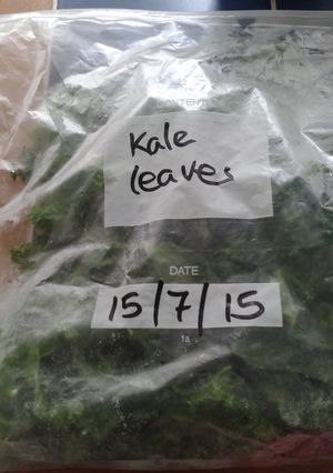A picture of Kale-freezing.