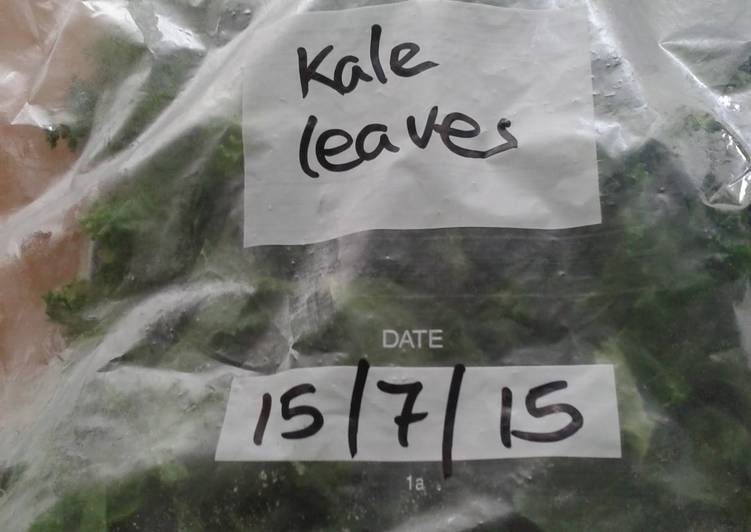 Recipe of Any-night-of-the-week Kale-freezing