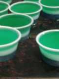 Seahawks jello shots