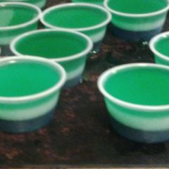 A picture of Seahawks jello shots.