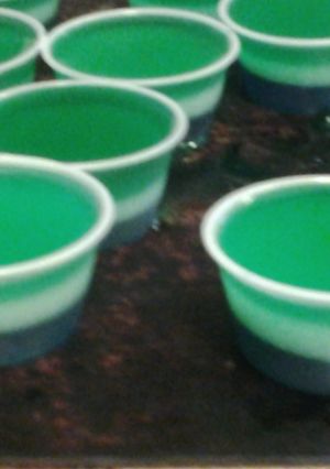 A picture of Seahawks jello shots.