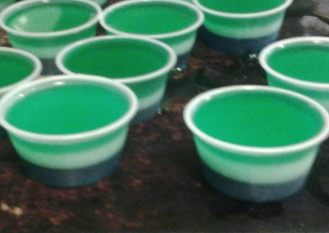 Seahawks jello shots