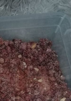 Foto de Amendoim Doce
