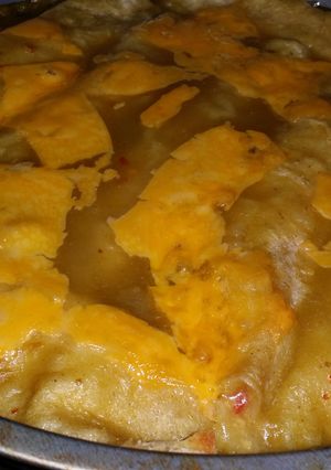 A picture of Iz's Summer Squash Enchiladas.