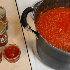A picture of Salsa.