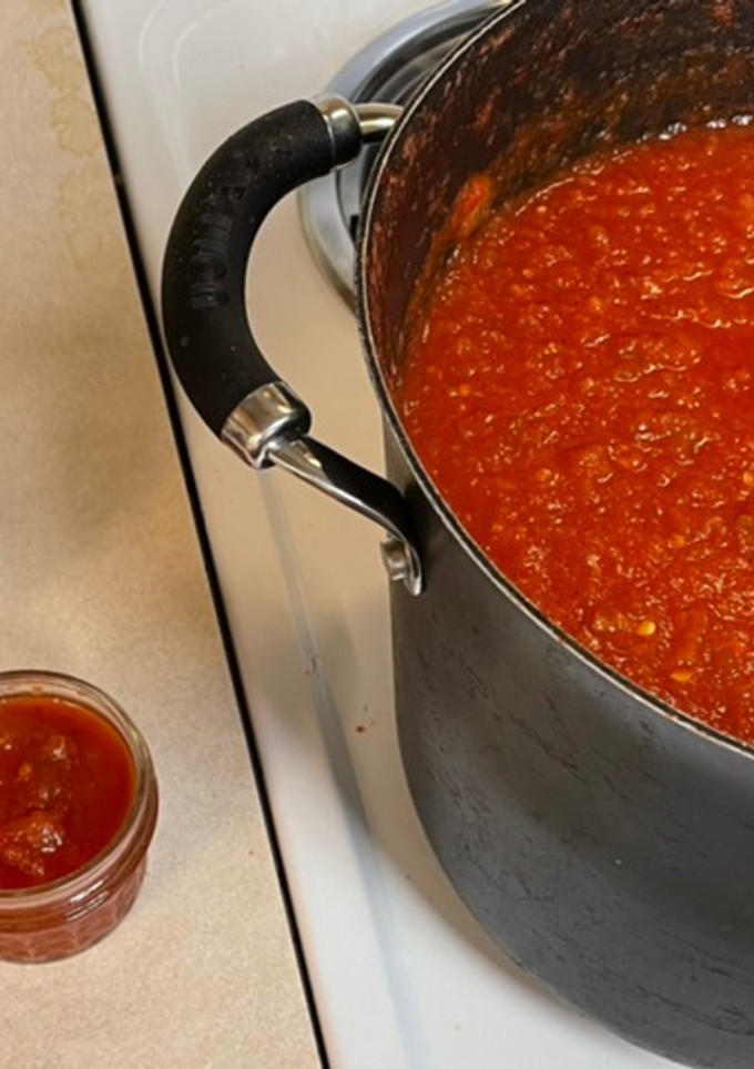 A picture of Salsa.