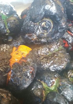 A picture of Stove Roasted Bell Peppers.
