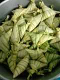 Ketupat Palas Lemak Versi kelantan