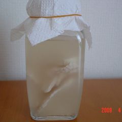 A picture of Sake Lees Yeast - Liquid Bread Starter.