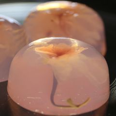 Japanese Sweets: Sakura Jello A picture of Japanese Sweets: Sakura Jello.