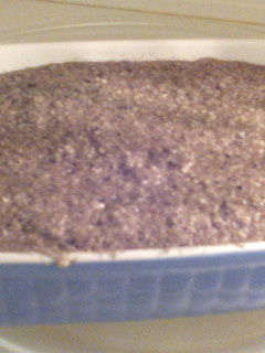 A picture of Banana pb&j vegan gluten free bread.