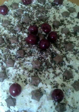 A picture of Sig's Black Forest Torte.