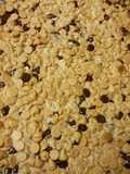 Chocolate & Peanut Butter Cookie Bars