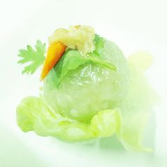 A picture of Tapioca Pearl.