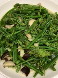 龍鬚菜蒜炒香菇 的食譜成品照片