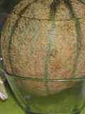 Melón cantalaup para dos