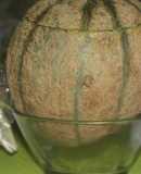 Melón cantalaup para dos