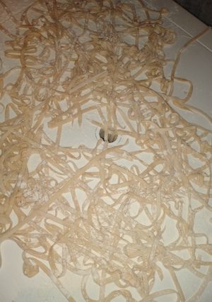 Una foto de Fideos caseros