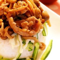 A picture of Budget Friendly Recipe: Sweet and Savory Ginger Pork on Rice.