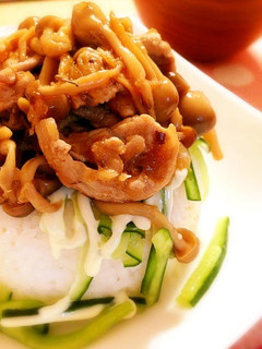 A picture of Budget Friendly Recipe: Sweet and Savory Ginger Pork on Rice.