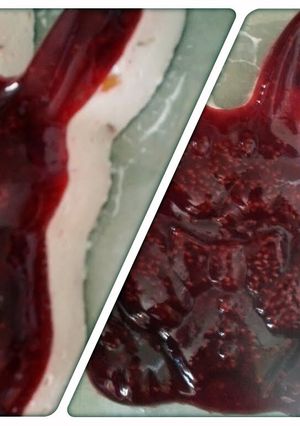 A picture of Tinklee's Raspberry and Peach Jello.