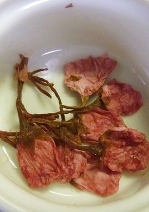 A picture of Salt Pickled Cherry Blossom.