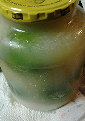A picture of Preserved limes.
