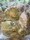 Cakalang Garo Rica khas Manado