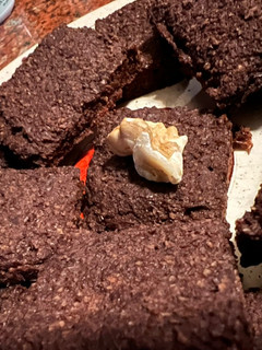 Una foto de GALLETITAS de CHOCOLATE con BAGAZO de ALMENDRAS y nueces