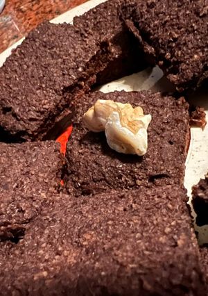 Una foto de GALLETITAS de CHOCOLATE con BAGAZO de ALMENDRAS y nueces