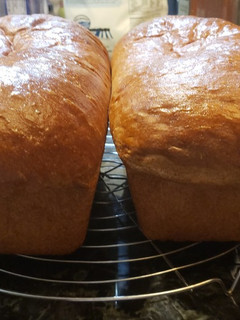 A picture of Honey whole wheat bread.
