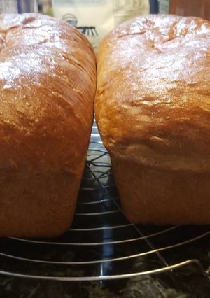 A picture of Honey whole wheat bread.
