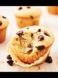 Chocolate Chip Muffins