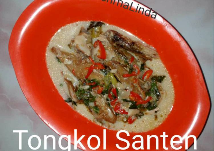 Tongkol Santen (Tongkol Kuah Santan)