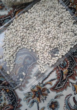 عکسی از دستور چالش روز دهم فریزر مواد موجود