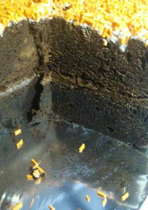Foto resep Brownis rice cooker bolu ulang tahun