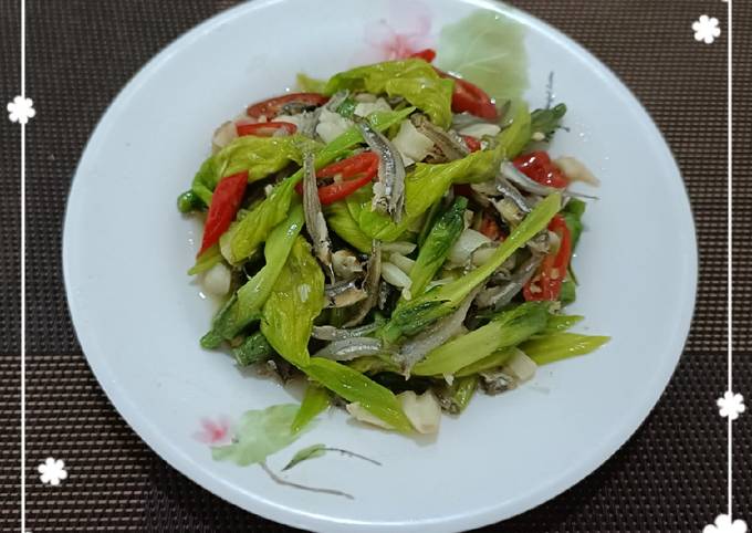 月光花炒小魚干 簡單料理 食譜與作法by 潘俊霖的 簡單料理 Cookpad